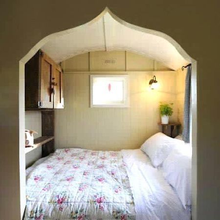 Beech Shepherds Hut York Exterior foto
